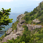 grandfather mountain